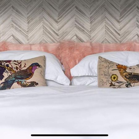 Attractive Comfortable Room In Friendly House ヘイスティングス エクステリア 写真