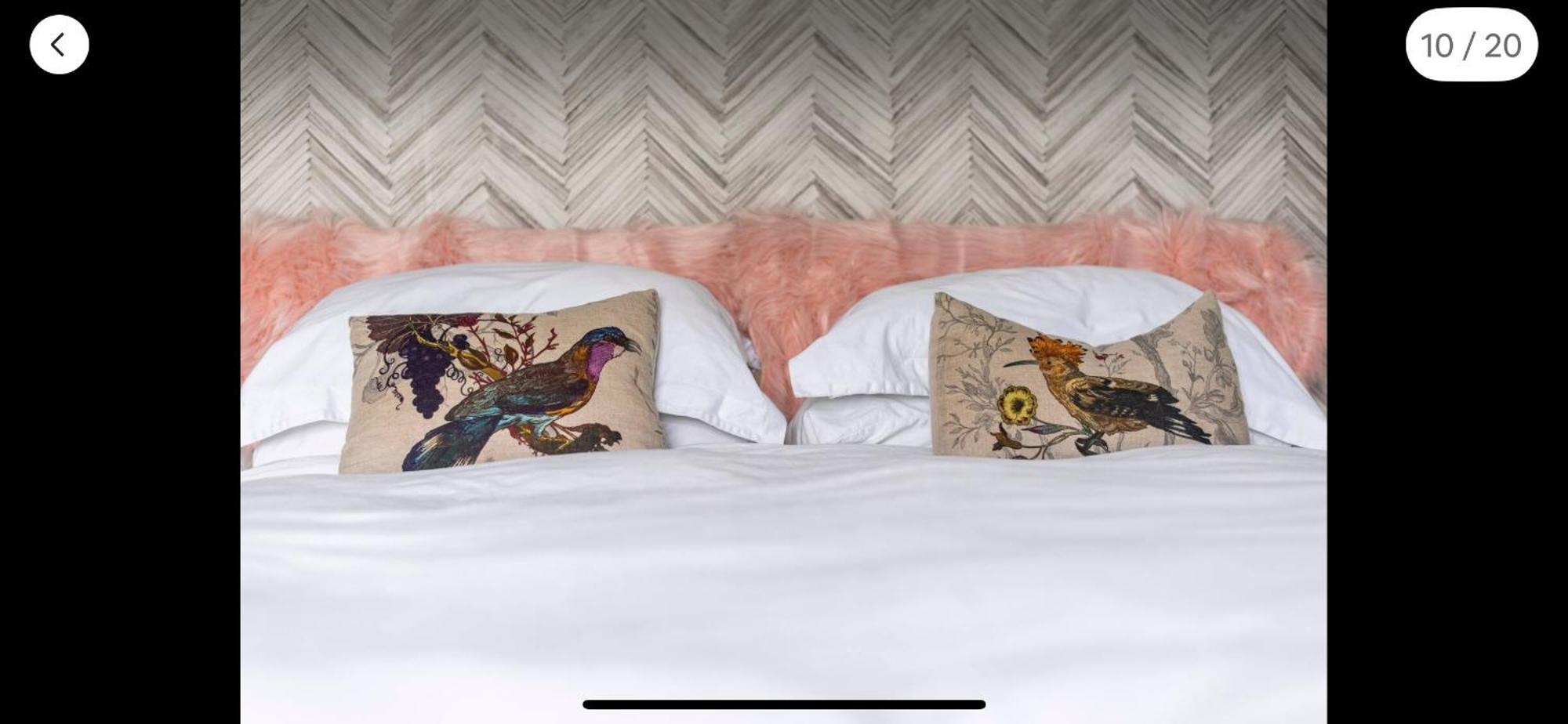 Attractive Comfortable Room In Friendly House ヘイスティングス エクステリア 写真